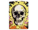 Briquet Zippo Skull Design